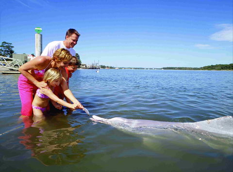Tourist Drive- Cooloola Coast Fraser Island - Accommodation Port Hedland 2