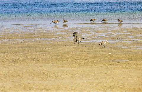 Towra Beach - YWait Travel 0