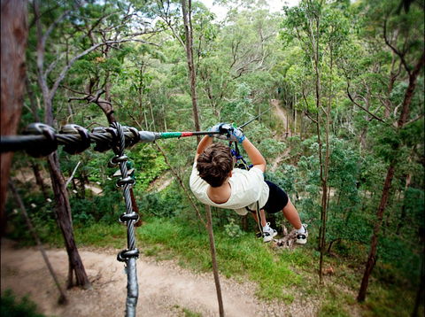 TreeTop Challenge - Accommodation Whitsundays 0