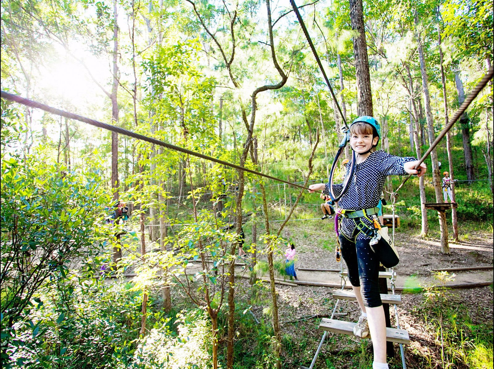 TreeTop Challenge Logo and Images