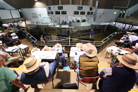 Wagga Wagga Livestock Marketing Centre - Caravan Park Accommodation 2