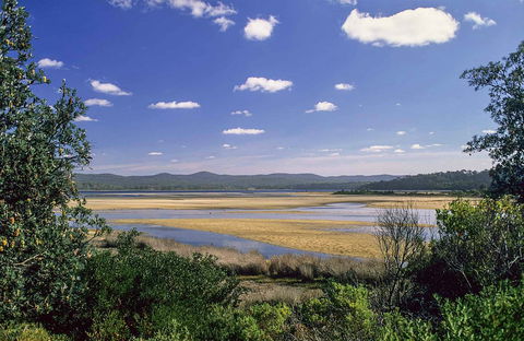 Wallagoot Lake Picnic Area And Boat Ramp - Accommodation Batemans Bay 0