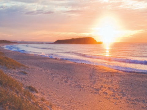 Warilla Beach: Shellharbour - Mackay Tourism 0