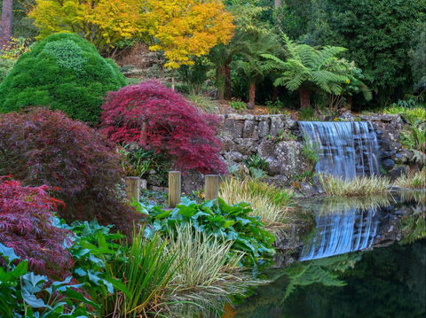 Windyridge Garden Mount Wilson - Accommodation Newcastle 2