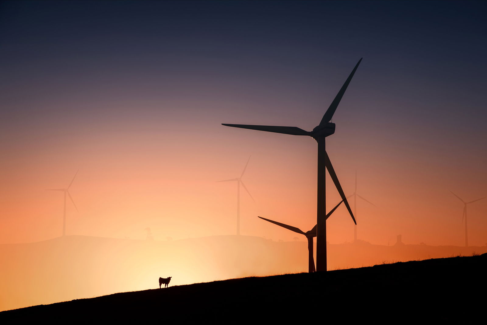 Woakwine Range Wind Farm Tourist Drive