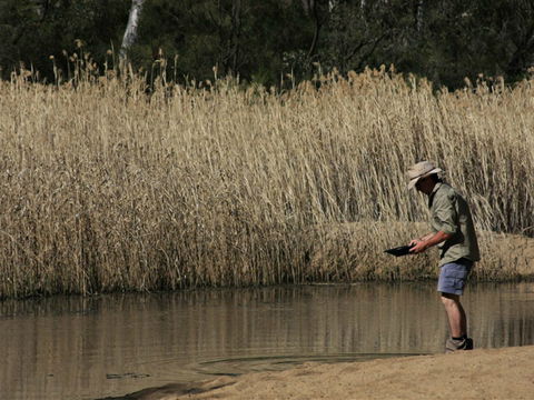 Wooldridge Recreation And Fossicking Reserve - Accommodation QLD 2