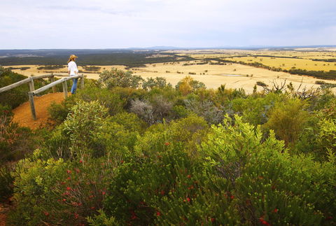 Archer Drive Scenic Drive And Lookout - Attractions Perth 0