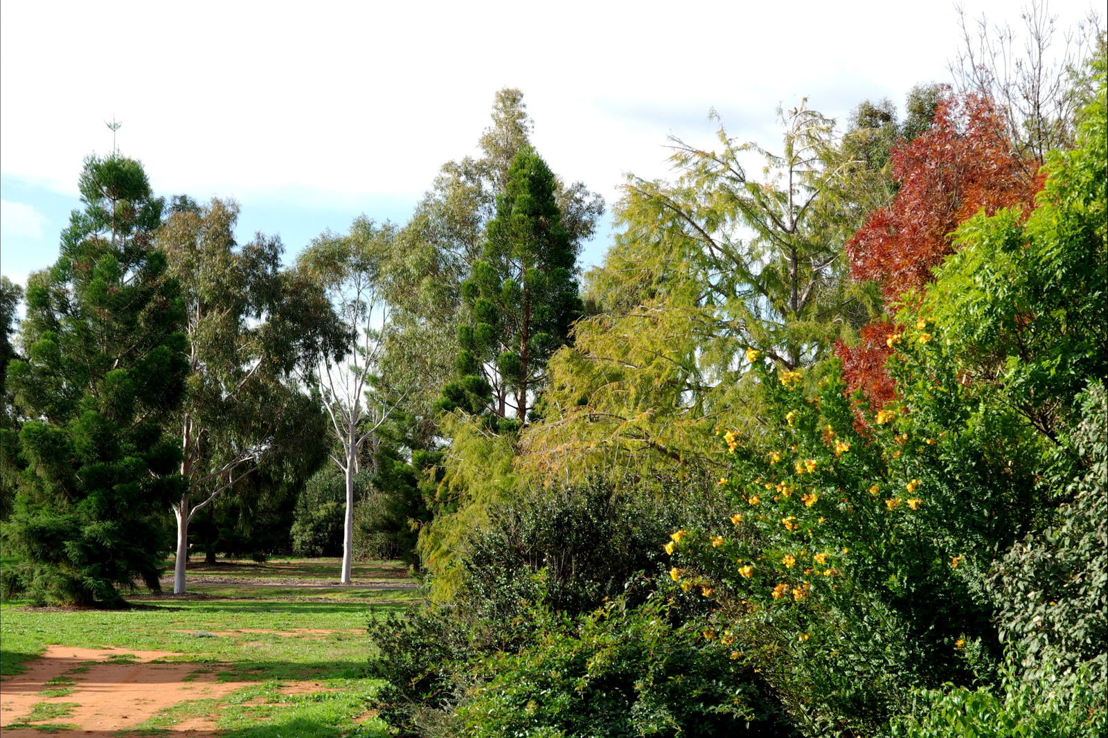 Australian Inland Botanic Gardens Logo and Images