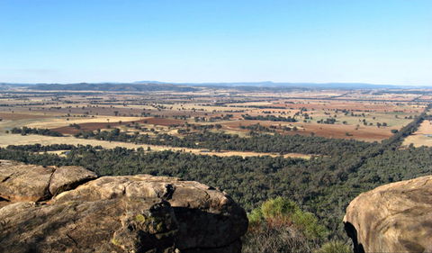 Basin Gully To Eualdrie Lookout Track - Wagga Wagga Accommodation 0