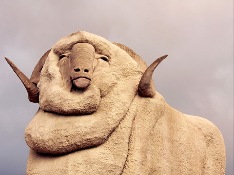 Big Merino - Accommodation Ballina 1