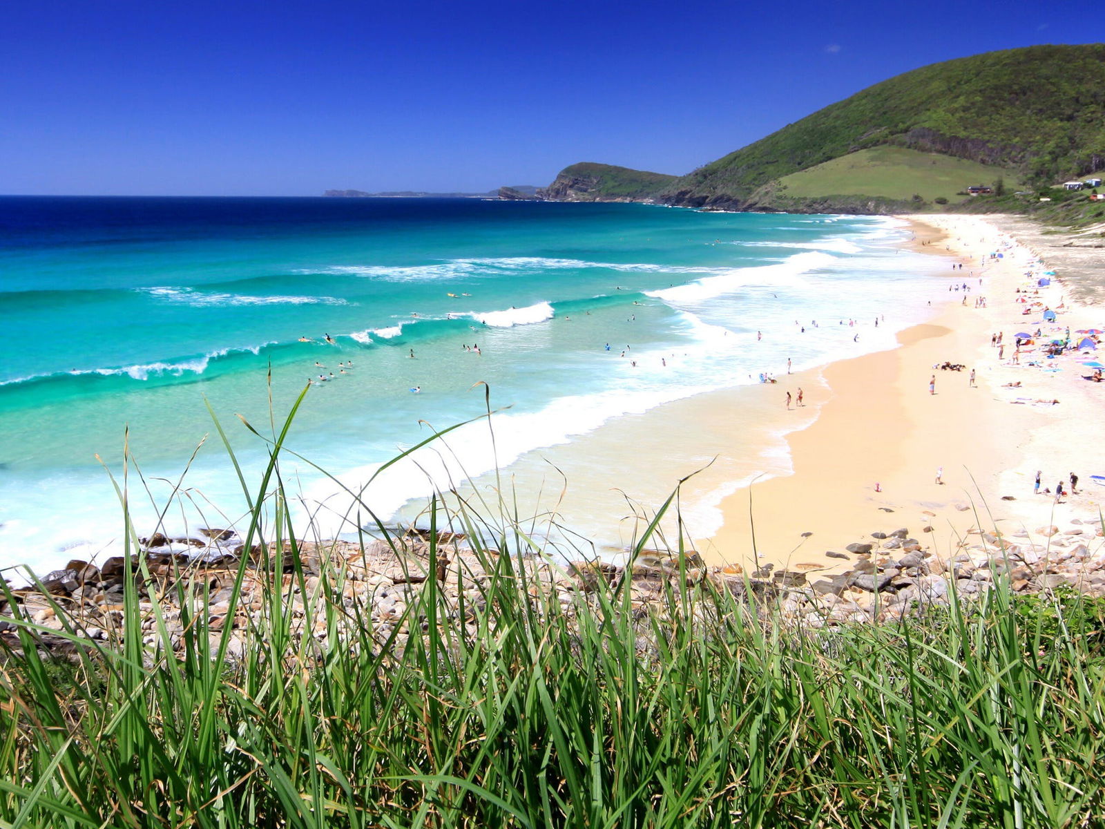 Blueys Beach, Pacific Palms Logo and Images