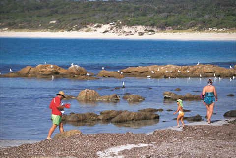 Bunker Bay - Tourism Bookings 1