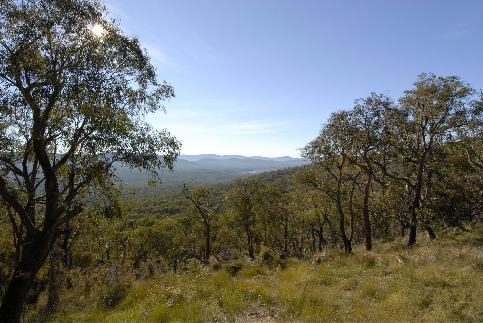 Bunyip State Park Logo and Images