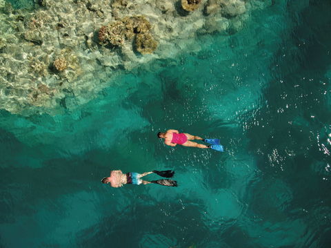 Capricornia Cays National Park - Cruises Travel 1