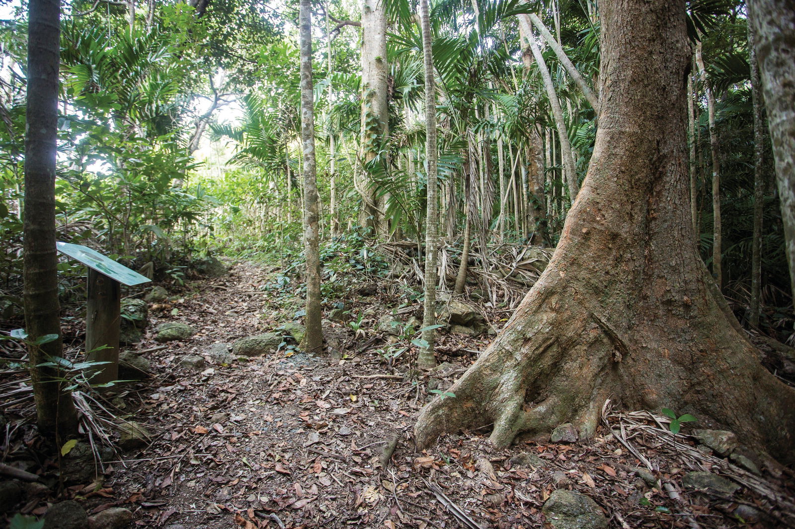 Cape Hillsborough National Park Logo and Images