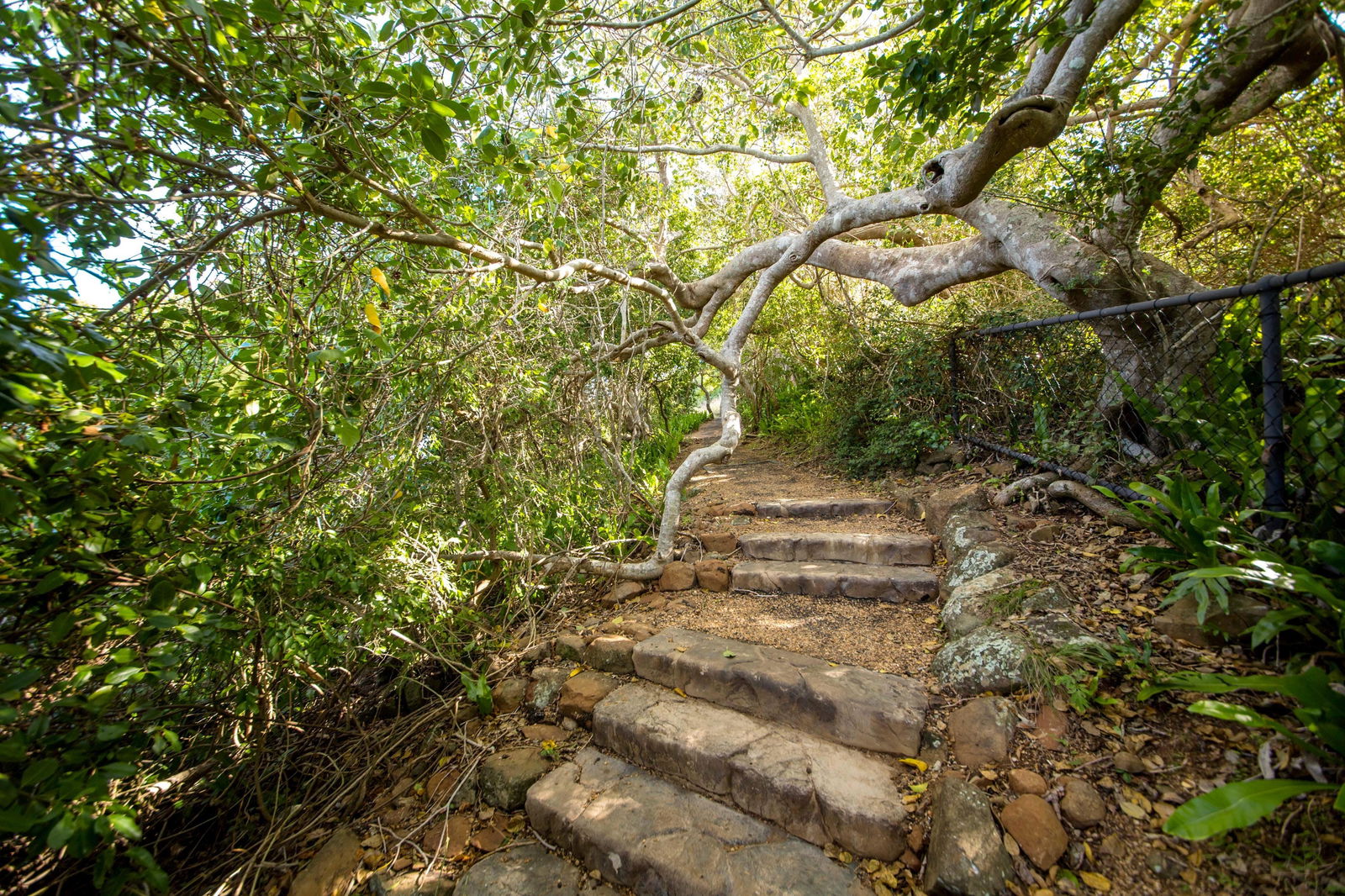 Capricorn Coast National Park Logo and Images