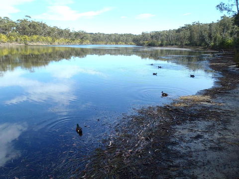 Conjola National Park - Accommodation Gladstone 0