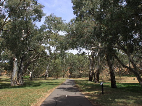 Dead Mans Pass - Attractions 0