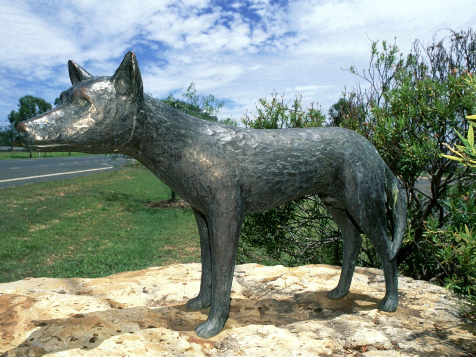 Dingo Statue Logo and Images