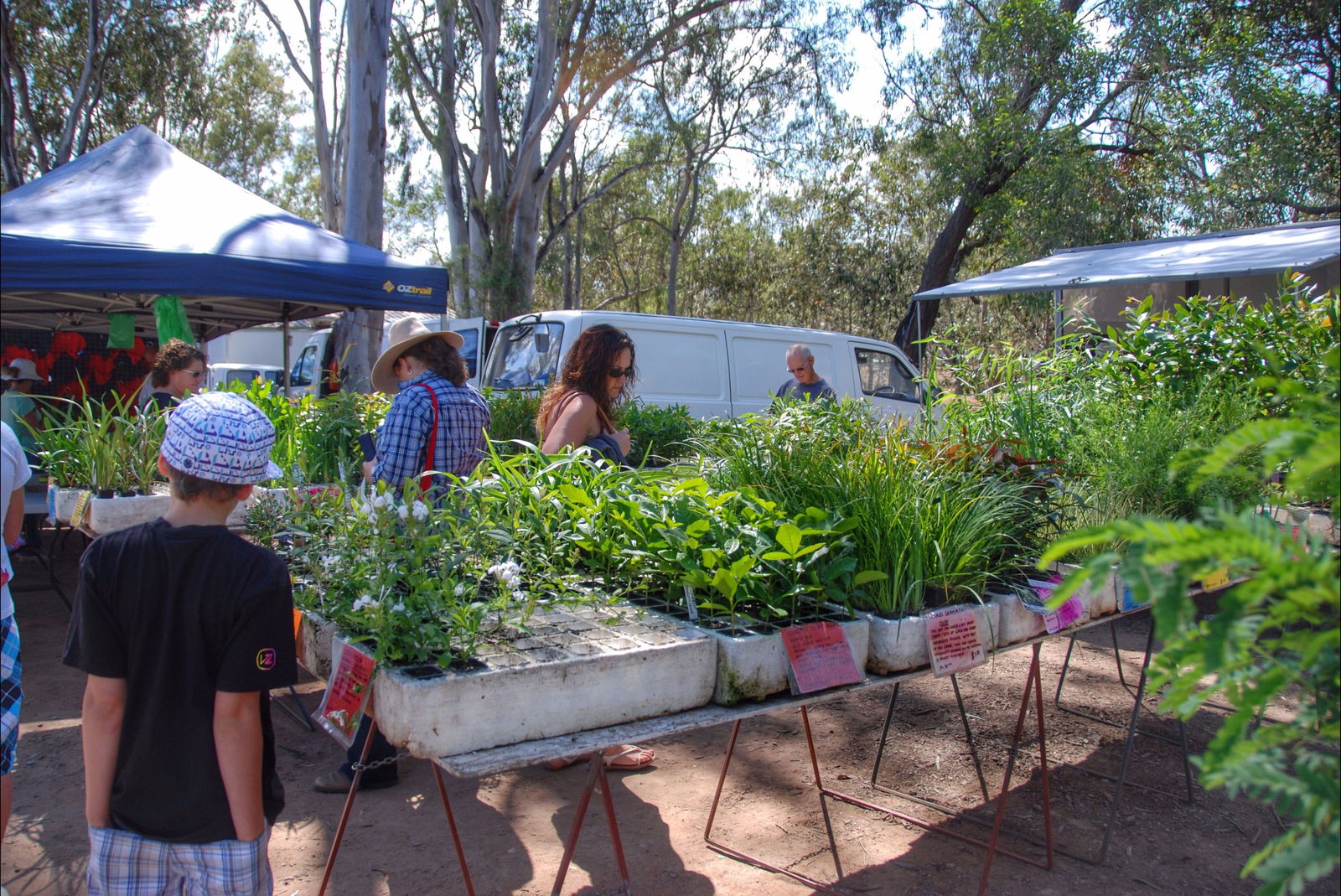 Fernvale Country Markets Logo and Images