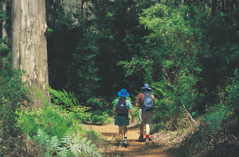 Gloucester National Park - Attractions Perth 0