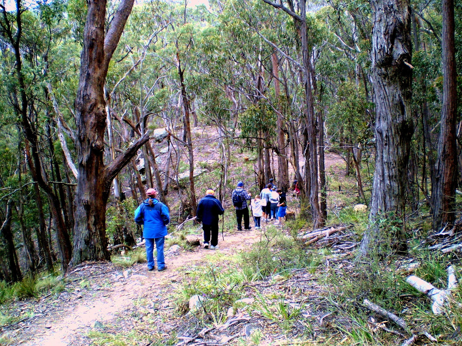 Greater Blue Mountains Heritage Trail Logo and Images
