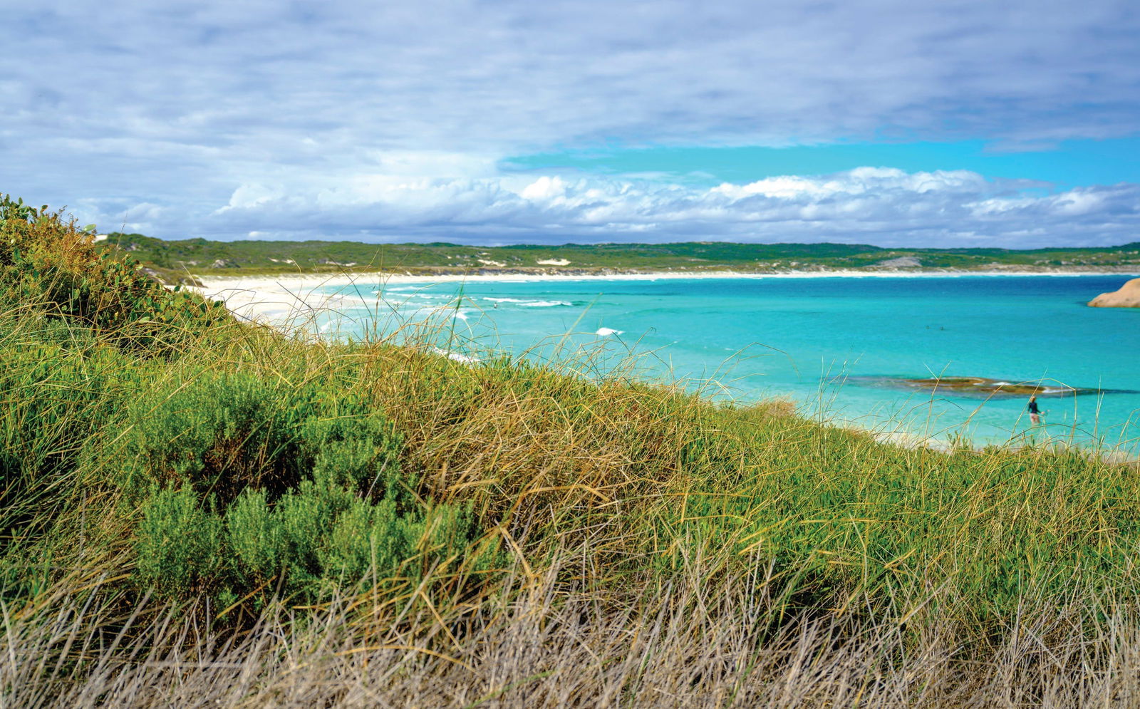 Great Ocean Drive Logo and Images