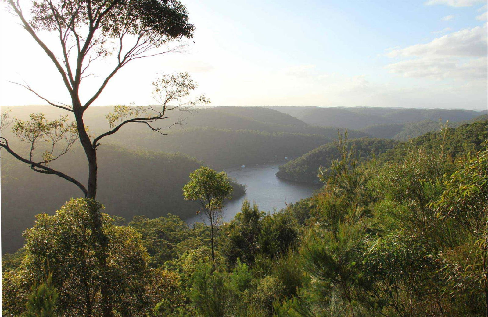Great North walk - Berowra Valley National Park Logo and Images