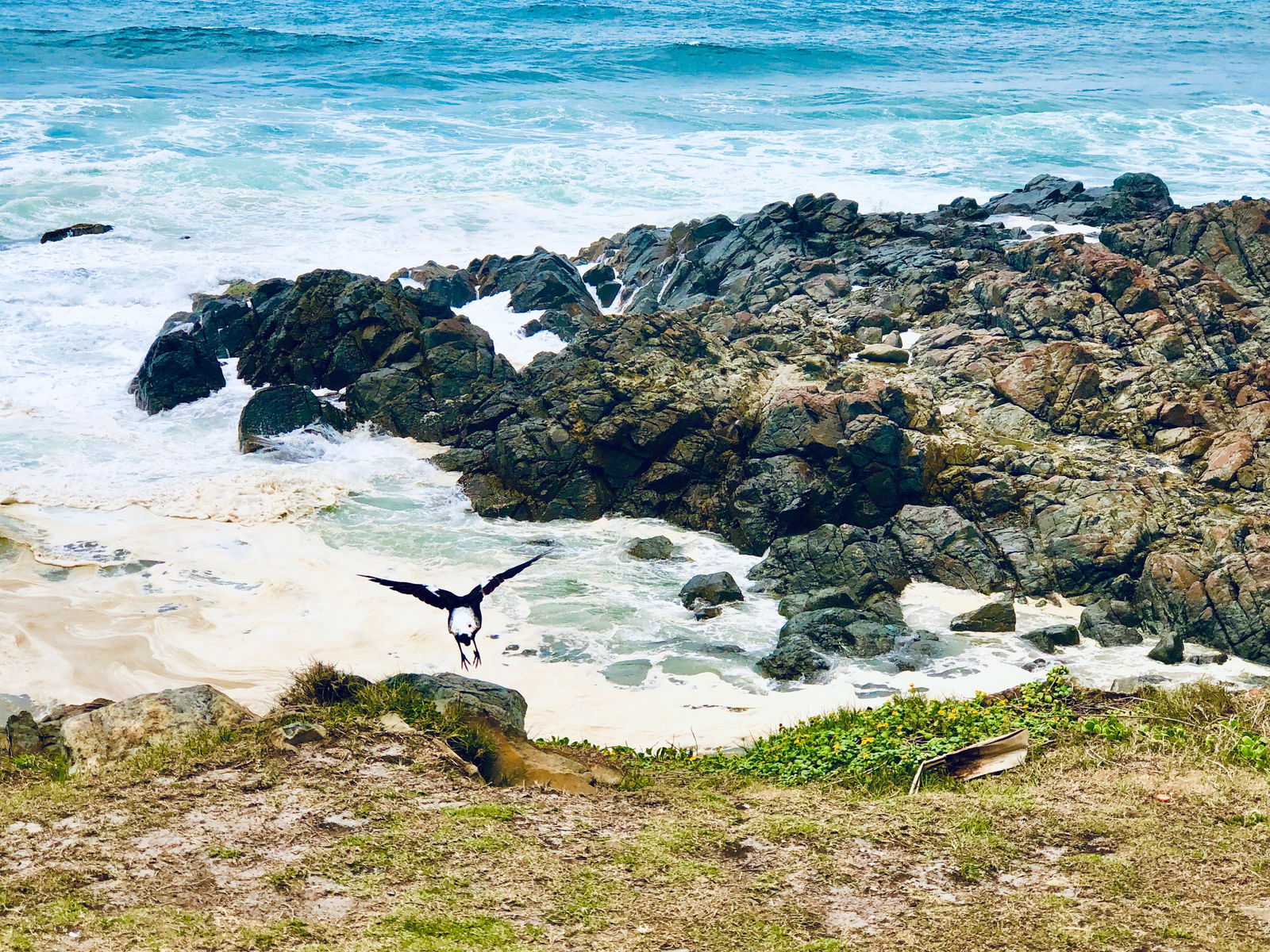 Hastings Point Beach Logo and Images