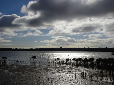 Marine Parade (Hastings Foreshore Reserve) Circuit - Cycling - Accommodation Directory 0