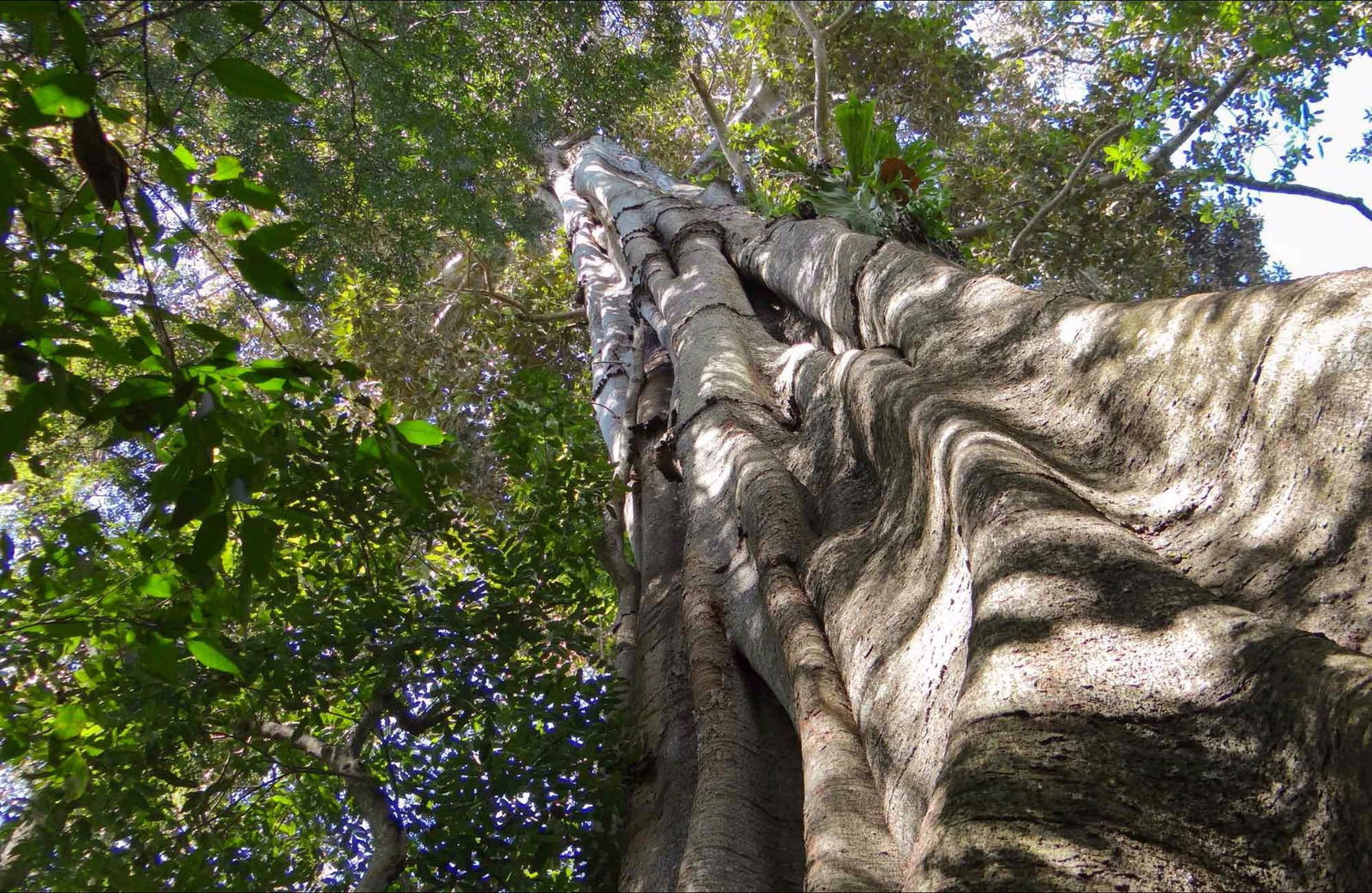 Northern Rivers And Tropical Nsw NSW Northern Rivers Accommodation