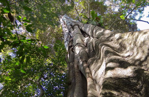 Moore Park Nature Reserve - Accommodation Port Hedland 0