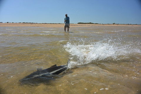 Ningaloo Fly Fishing - Accommodation Airlie Beach 2