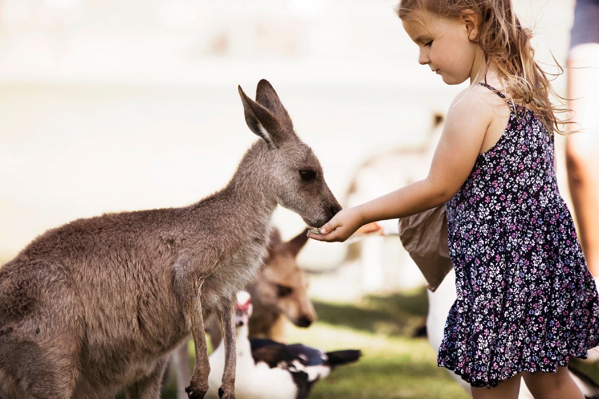 Oakvale Wildlife Park - thumb 1