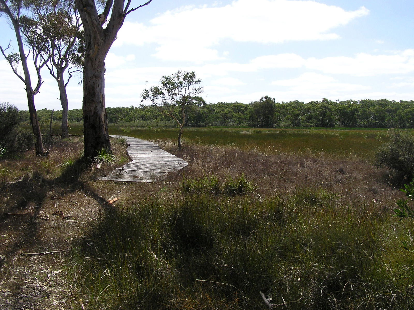 Penola SA Accommodation Find