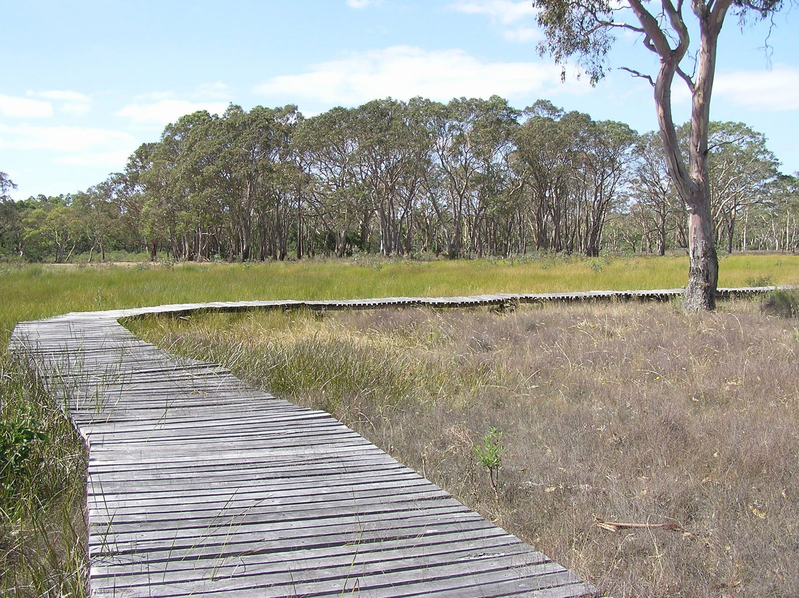 Penola Conservation Park Logo and Images