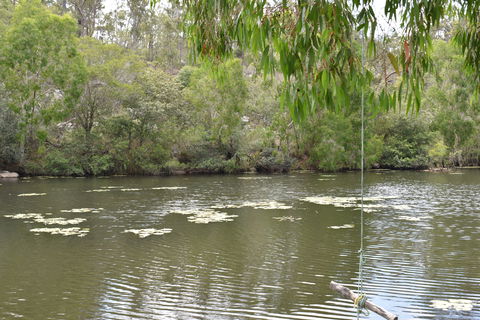 Princess Hills, Girringun National Park - Accommodation Newcastle 1