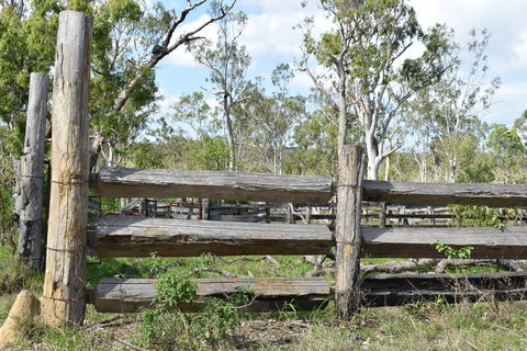 Princess Hills, Girringun National Park - Accommodation Newcastle 2