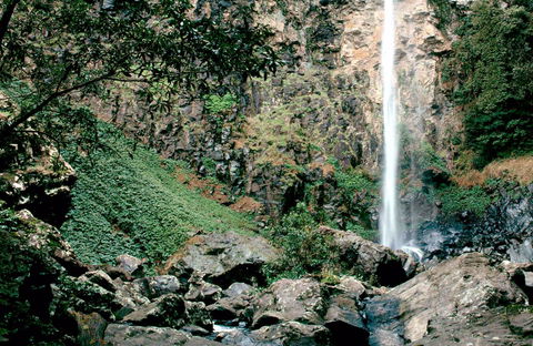 Rawson Falls Walk - Accommodation QLD 0