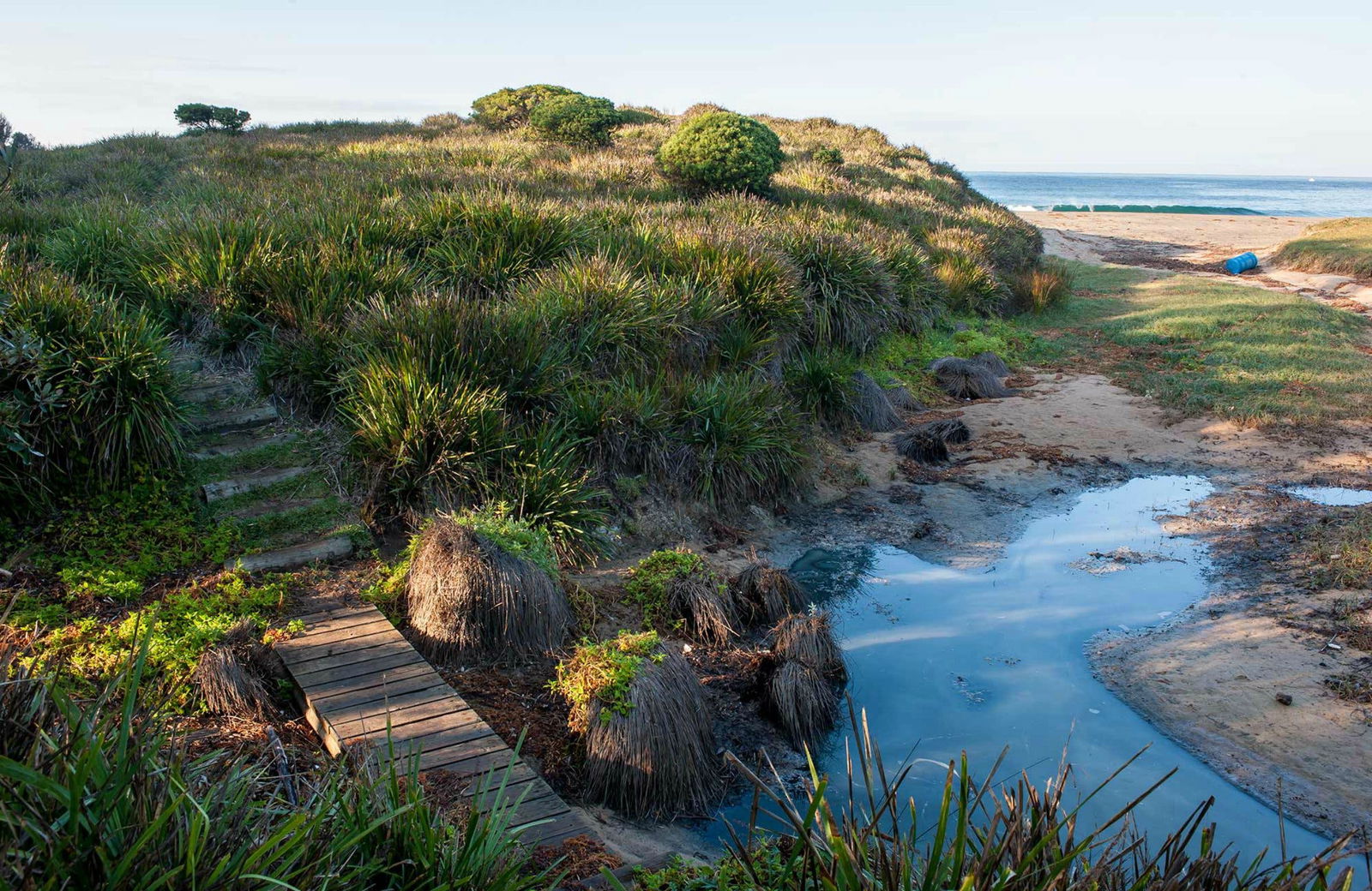 Richmond Beach Logo and Images