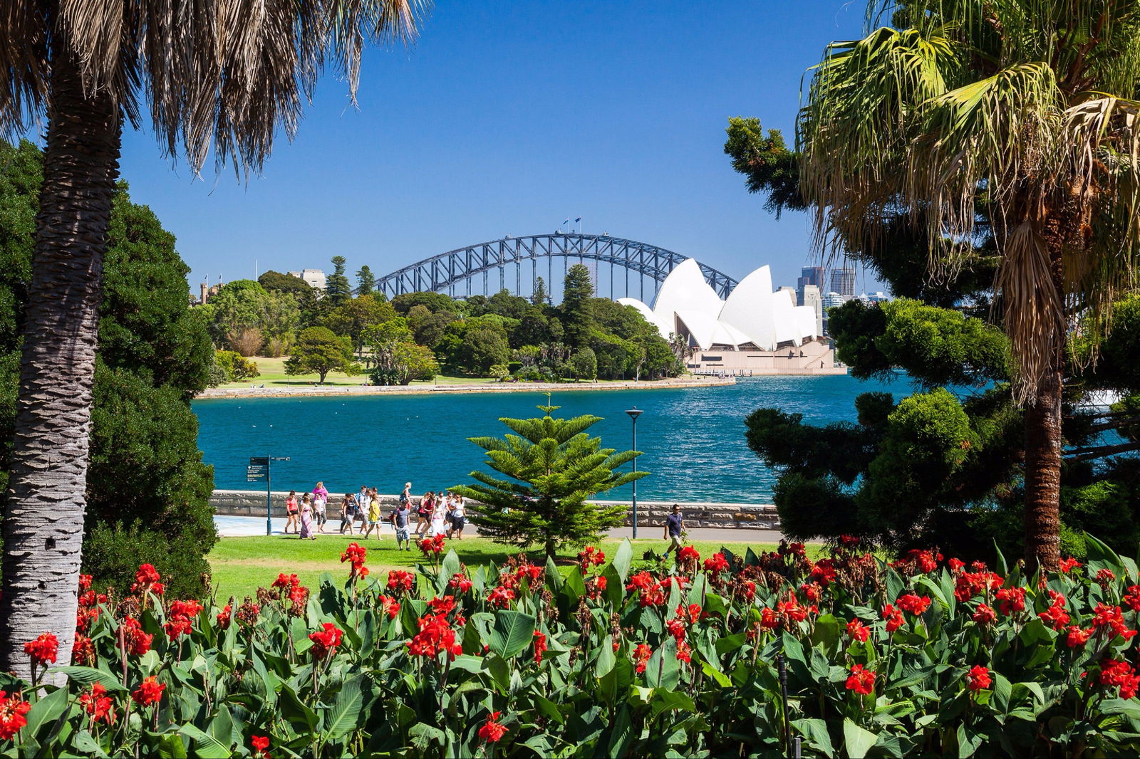 Royal Botanic Garden and the Domain