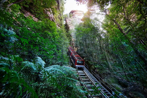 Scenic World Blue Mountains - Wagga Wagga Accommodation 0