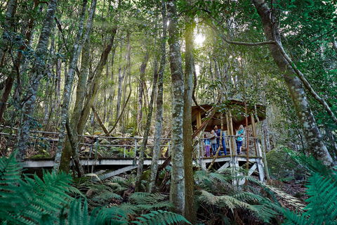 Scenic World Blue Mountains - Wagga Wagga Accommodation 2