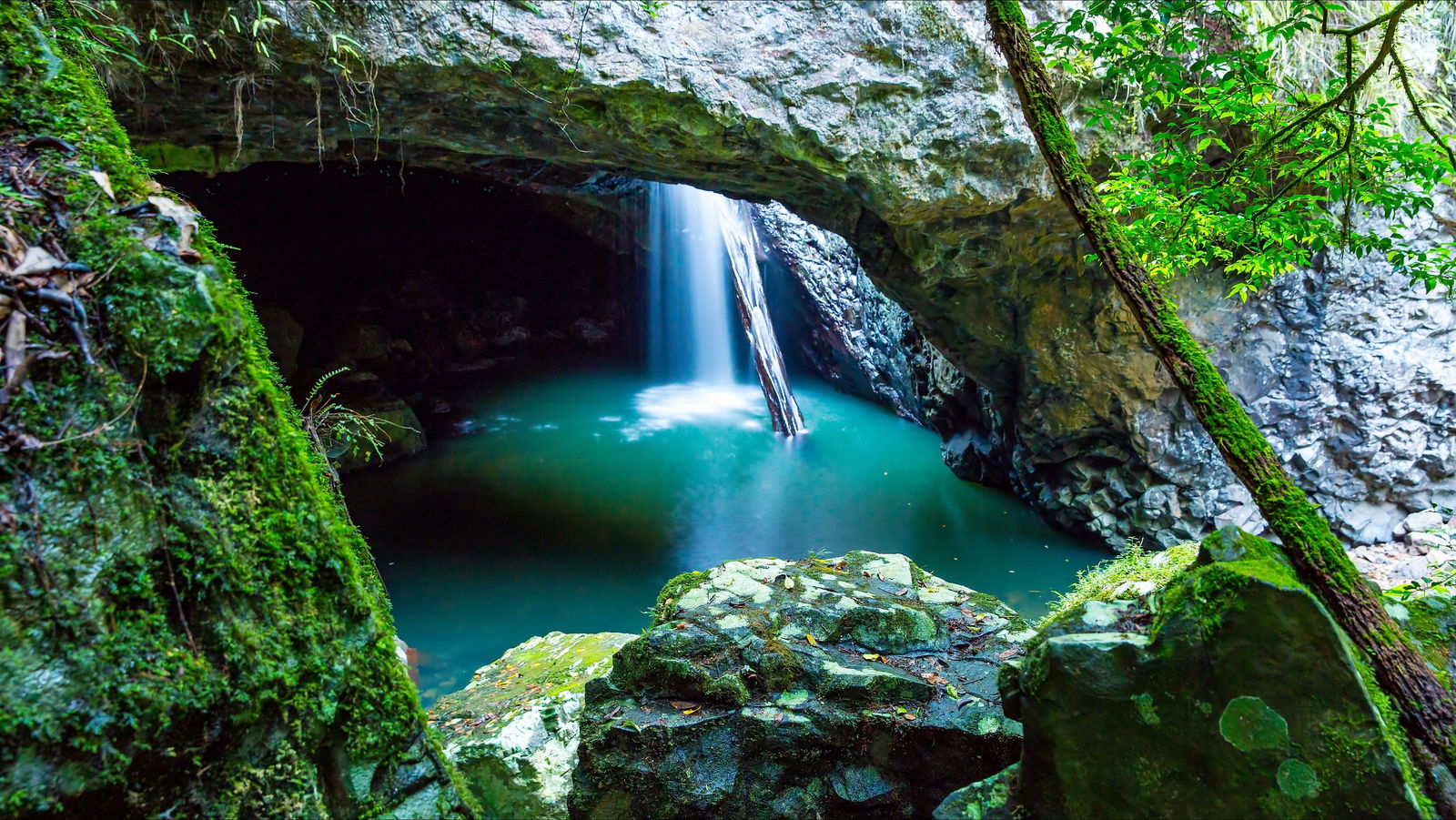 Springbrook
