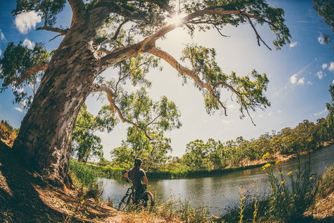 Sturt Gorge Recreation Park - Accommodation Brisbane 0