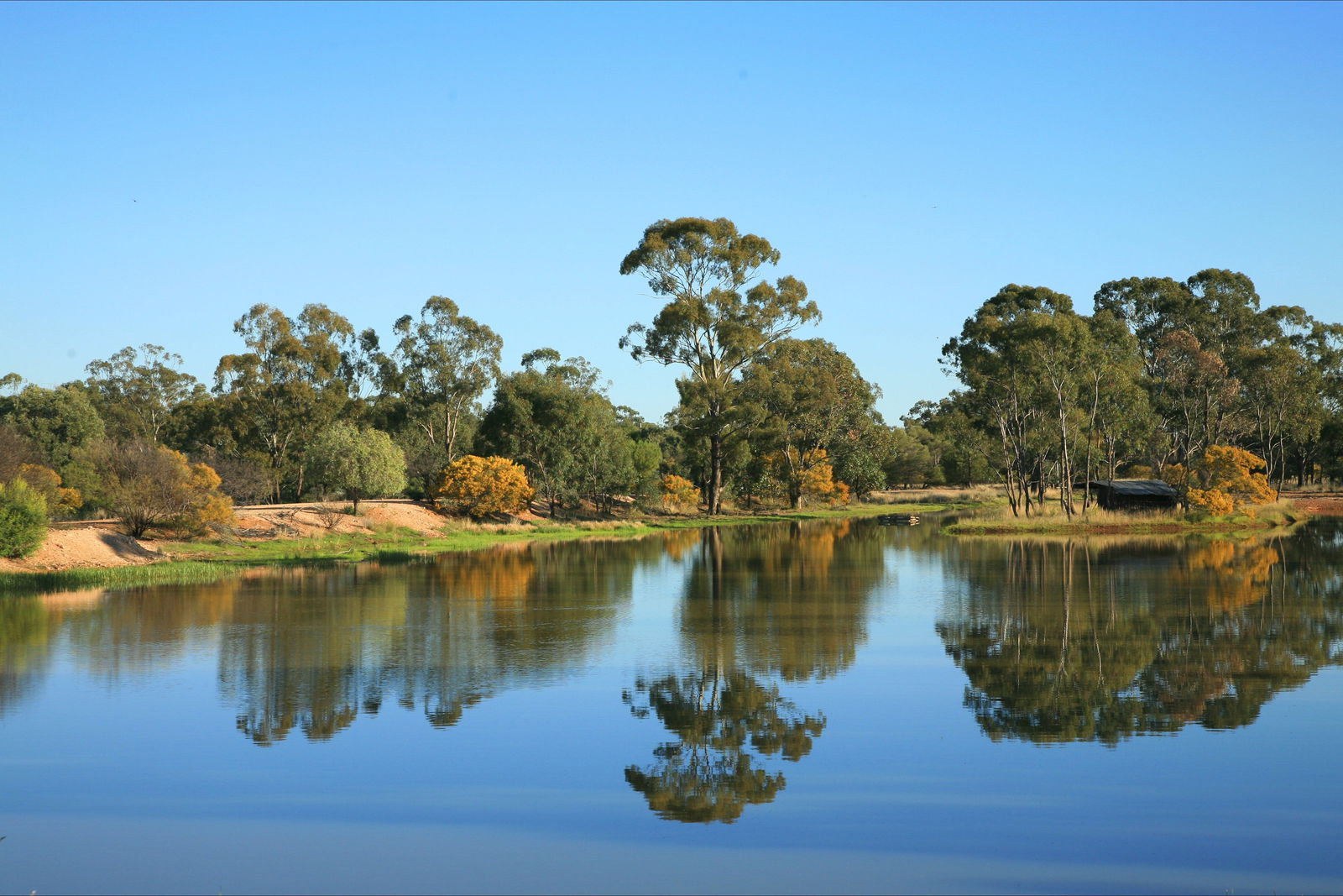 The Gums QLD Accommodation Australia