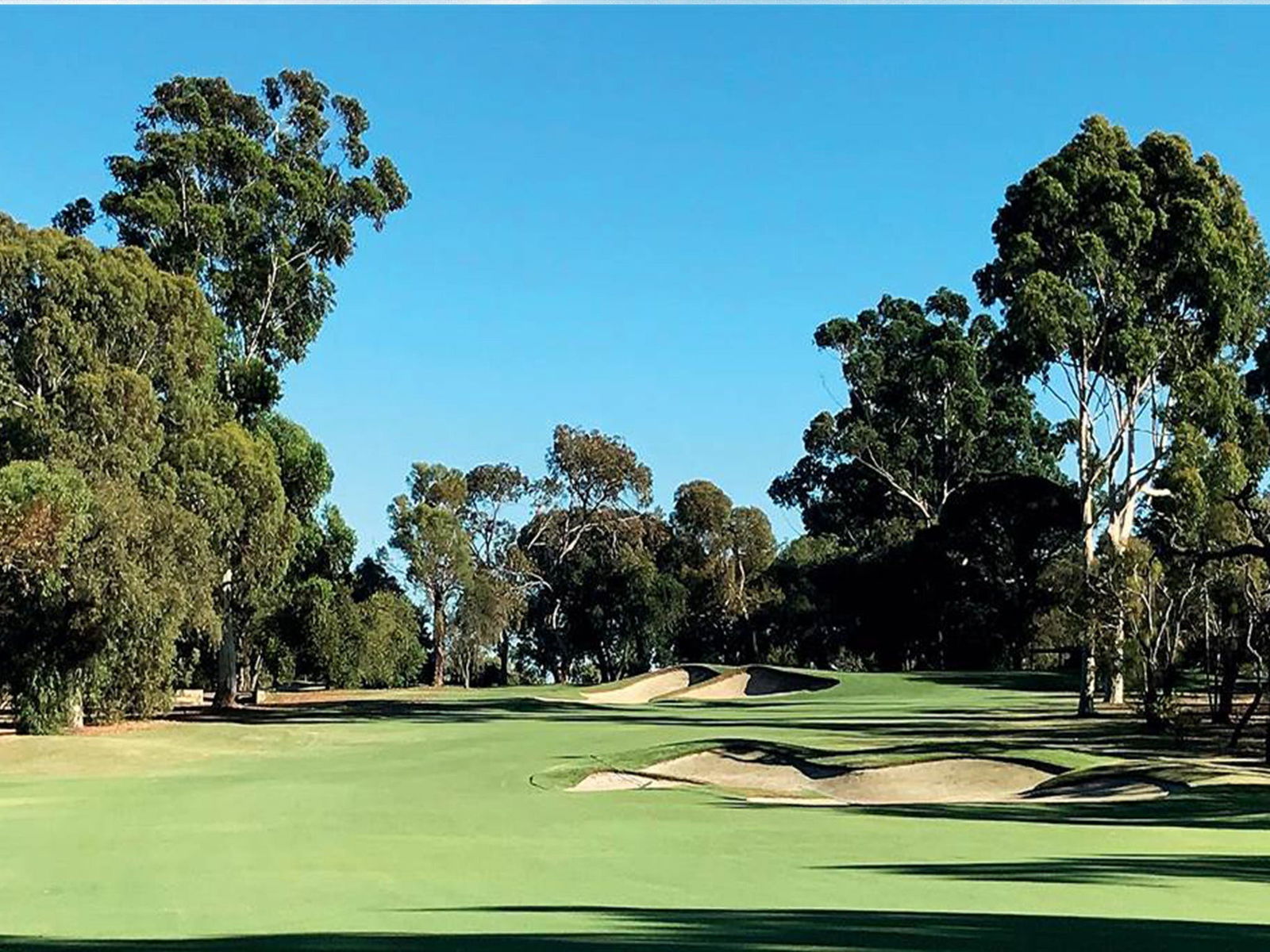 Wanneroo Golf Club Logo and Images