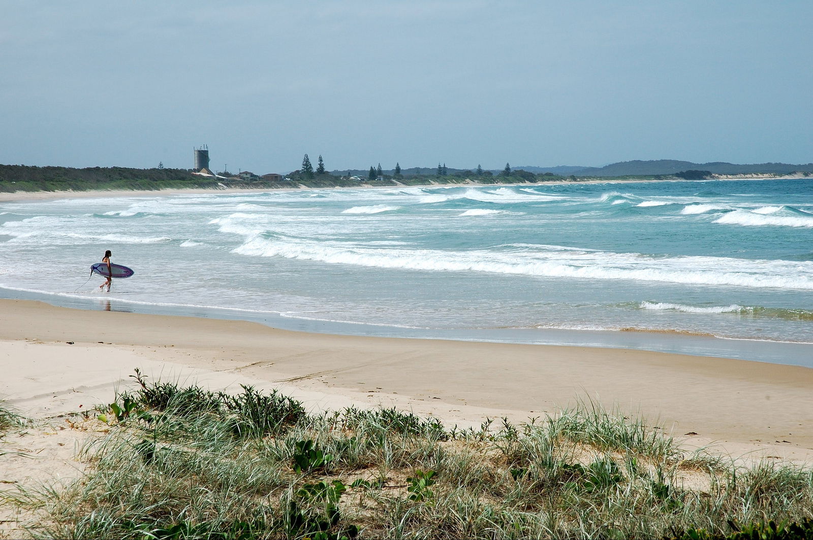 Wooli Beach Logo and Images