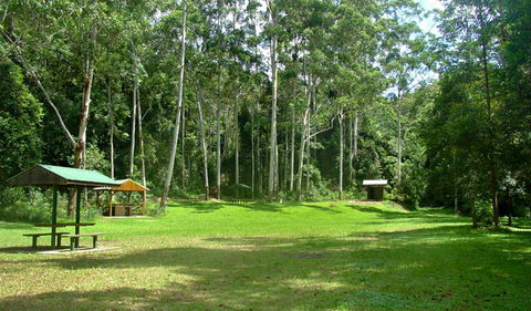 Woolgoolga Creek Picnic Area - Holiday Melbourne 0