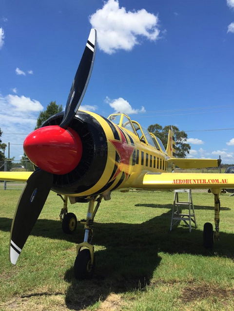 Aerohunter - Brisbane Tourism 0